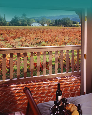 hotel photo with vineyards 